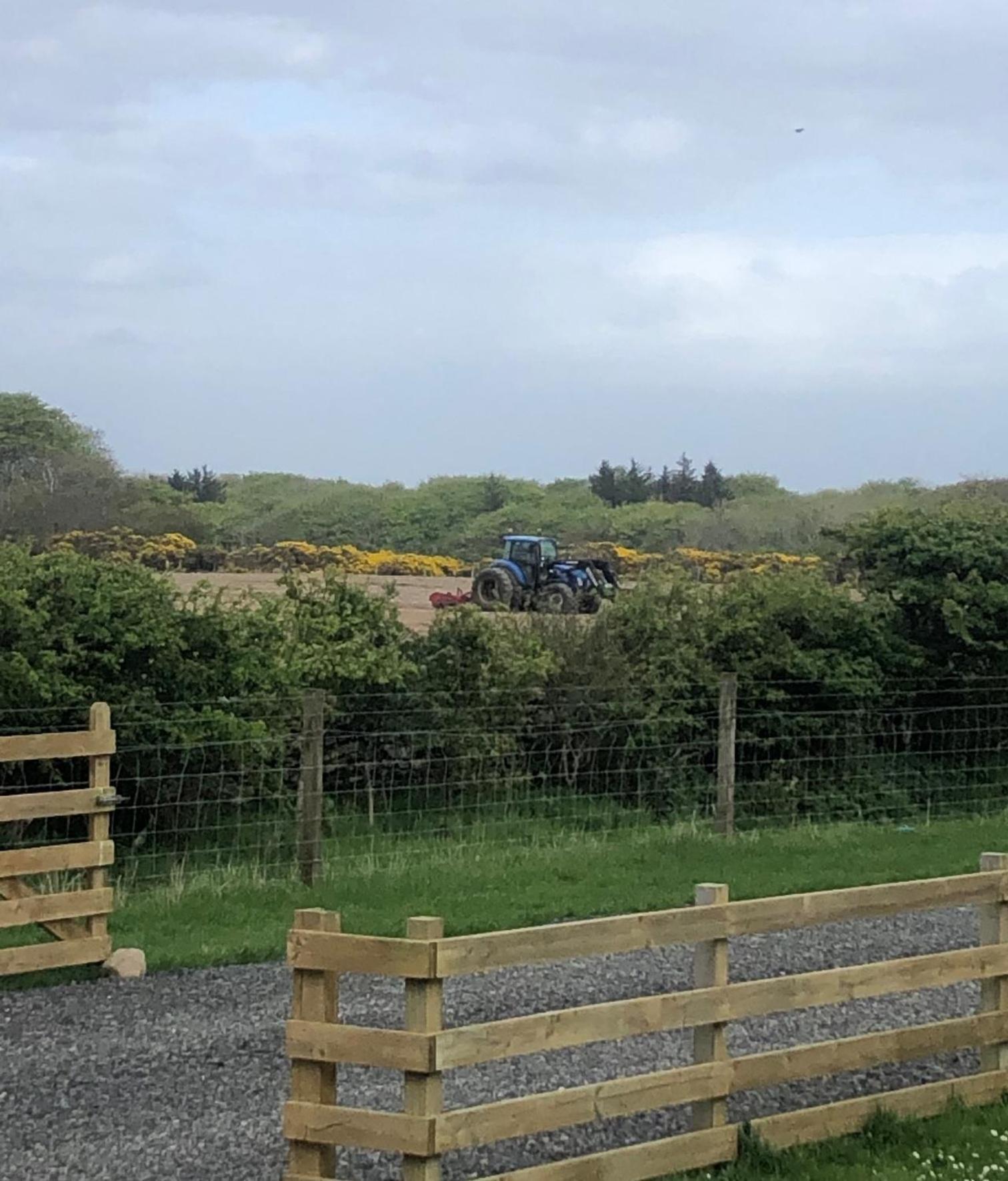 Caithness View Luxury Farm Lodges And Bbq Huts วิค ภายนอก รูปภาพ